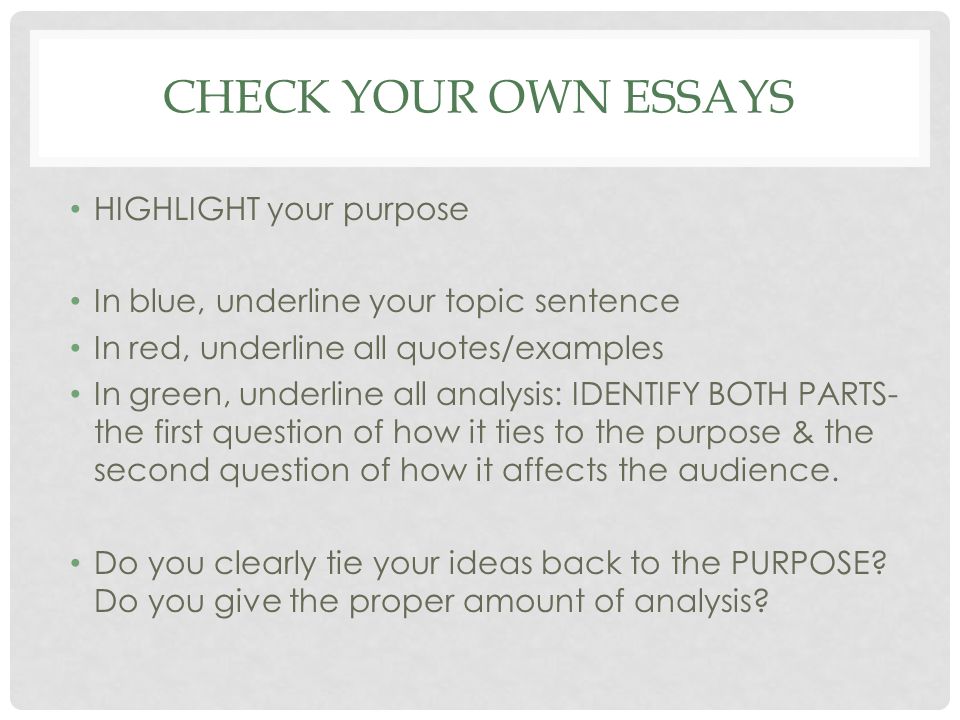Pay To Write Top Argumentative Essay